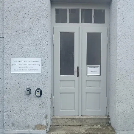 Procyon * Prostějov